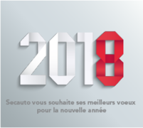 Secauto and all its employees wish you a very Happy New Year for 2018